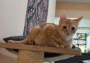 Peterle (1)